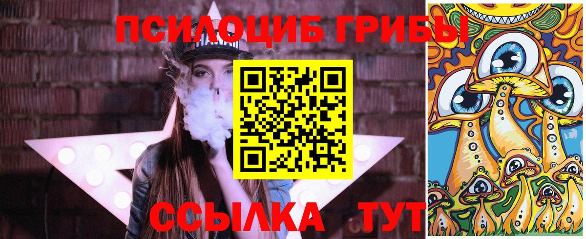 Галлюциногенные грибы Cubensis  Вход с VPN  Псилоцибиновые грибы Cubensis  Камень-на-Оби 