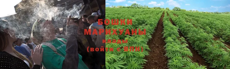 дарк нет официальный сайт  blacksprut ссылка  Бошки Шишки White Widow  Камень-на-Оби  продажа наркотиков 